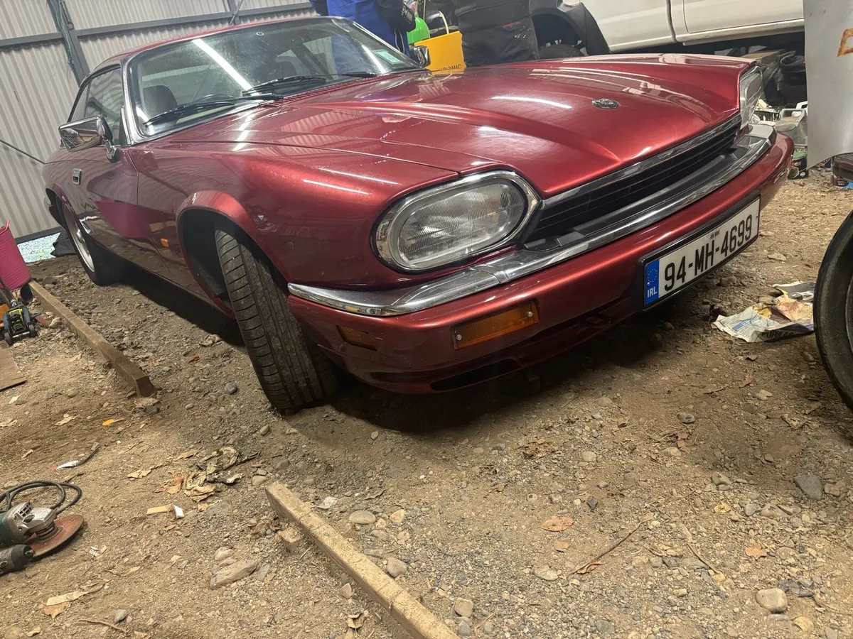 Jaguar XJS - Image 2
