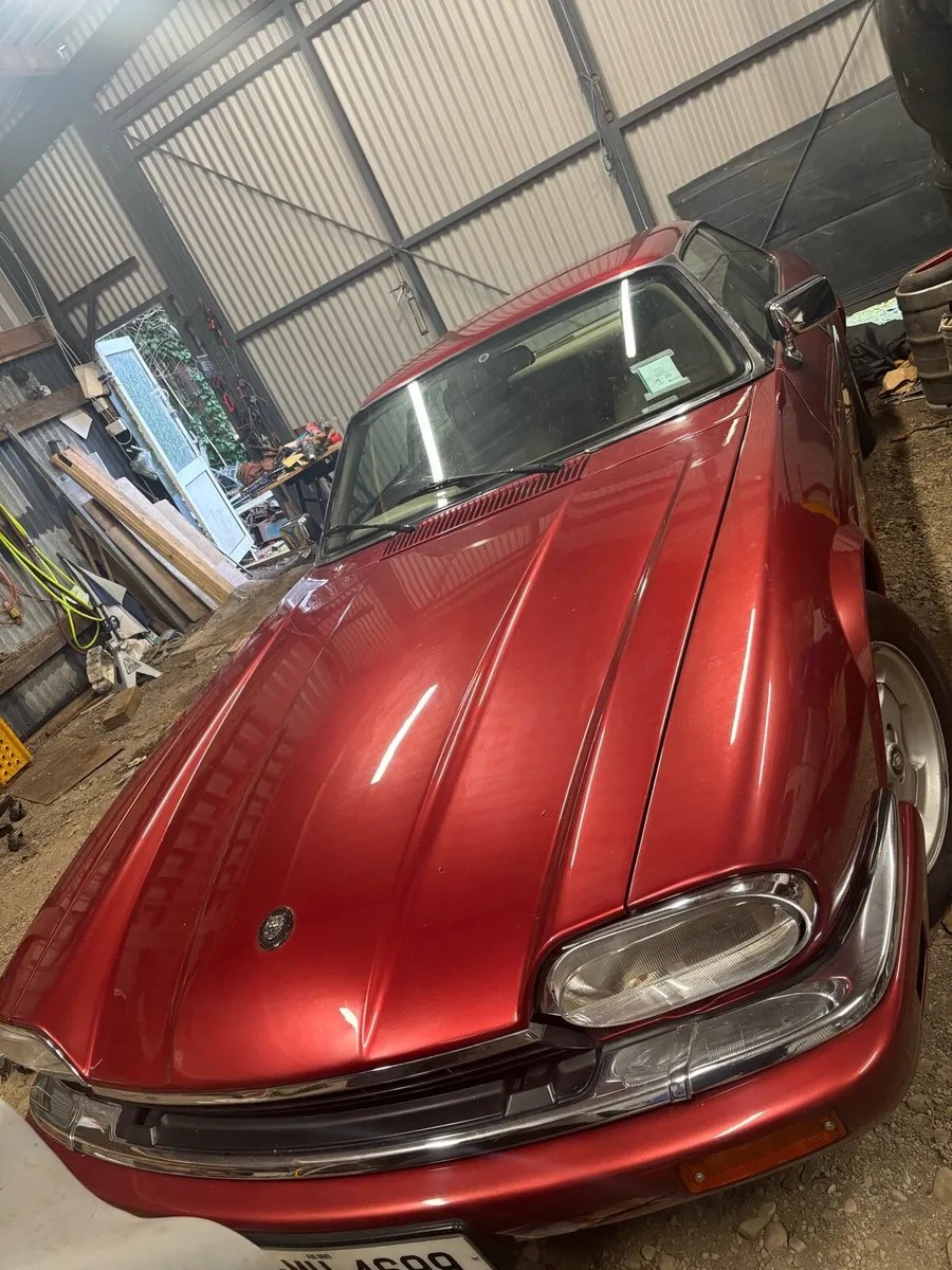 Jaguar XJS - Image 4