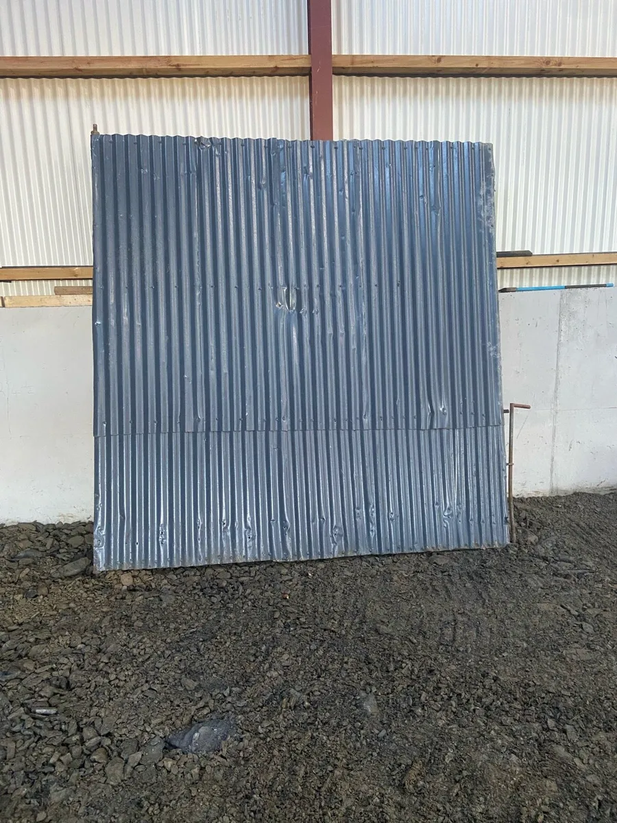 Shed doors - Image 1