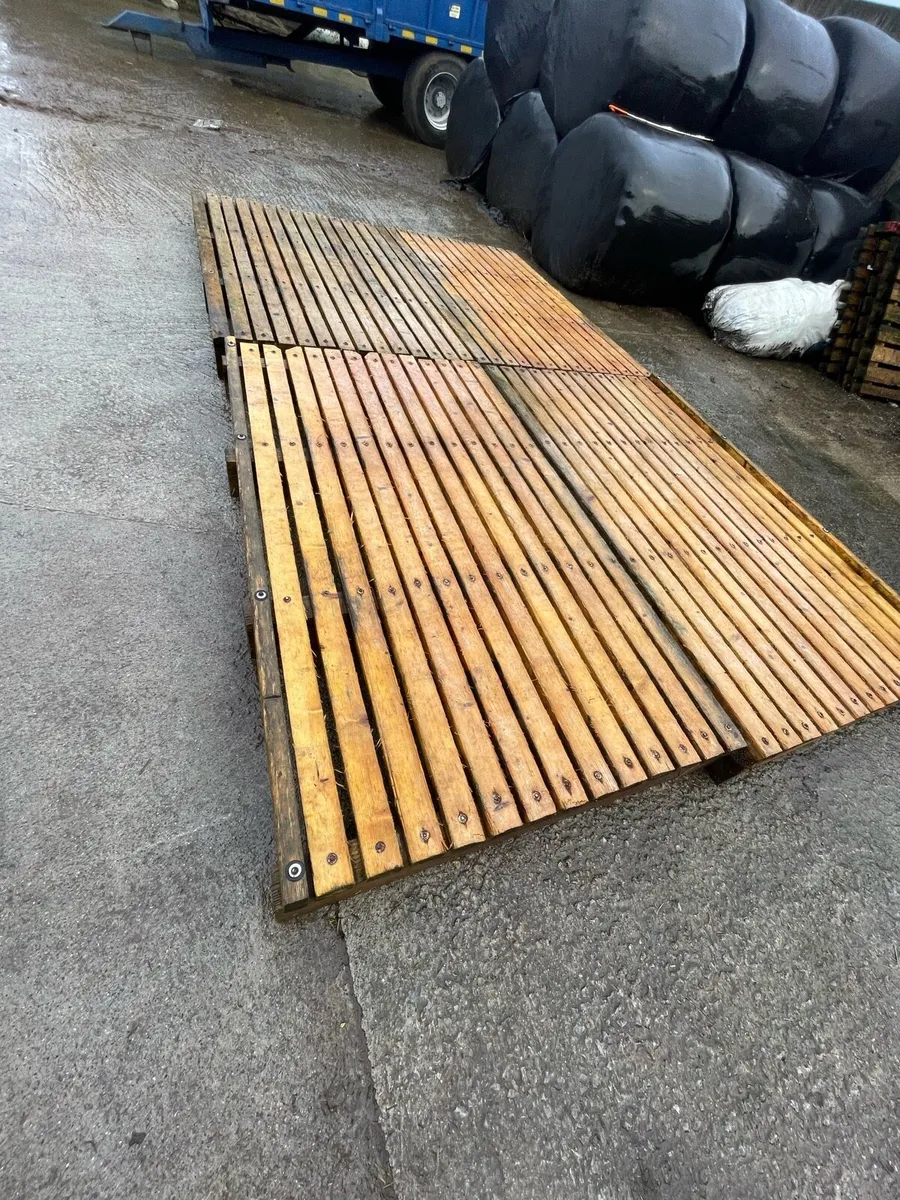 Timber slats calf sheep - Image 2