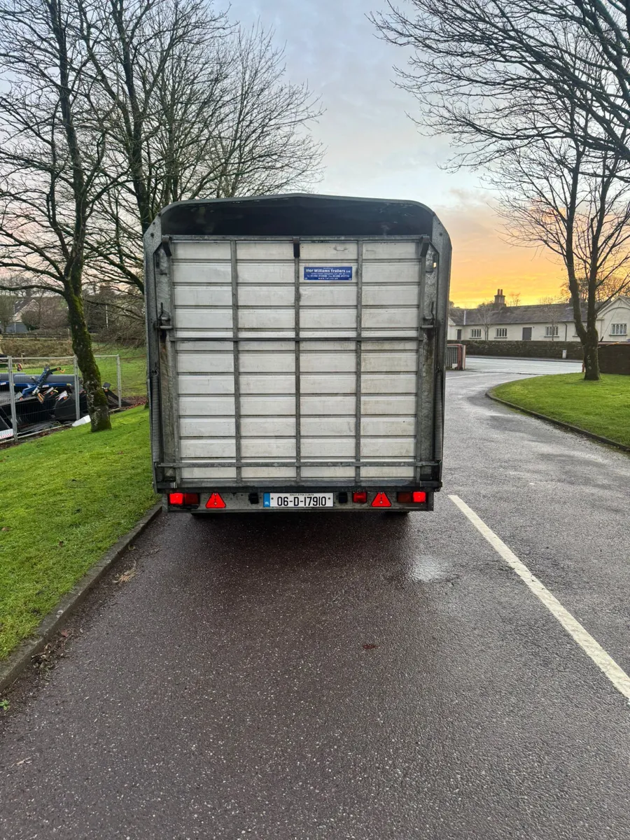 Ifor williams cattle box 12x6 - Image 4
