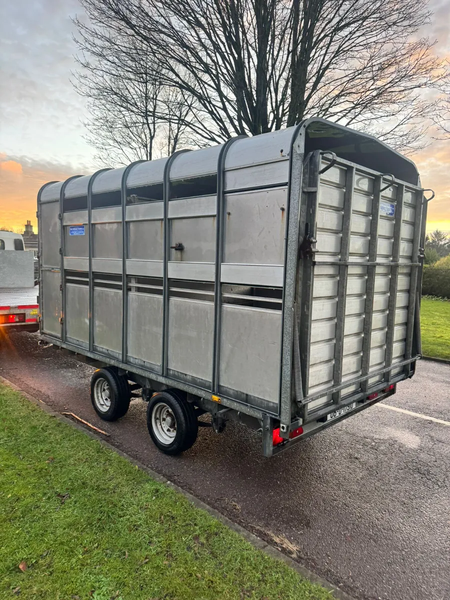 Ifor williams cattle box 12x6 - Image 2