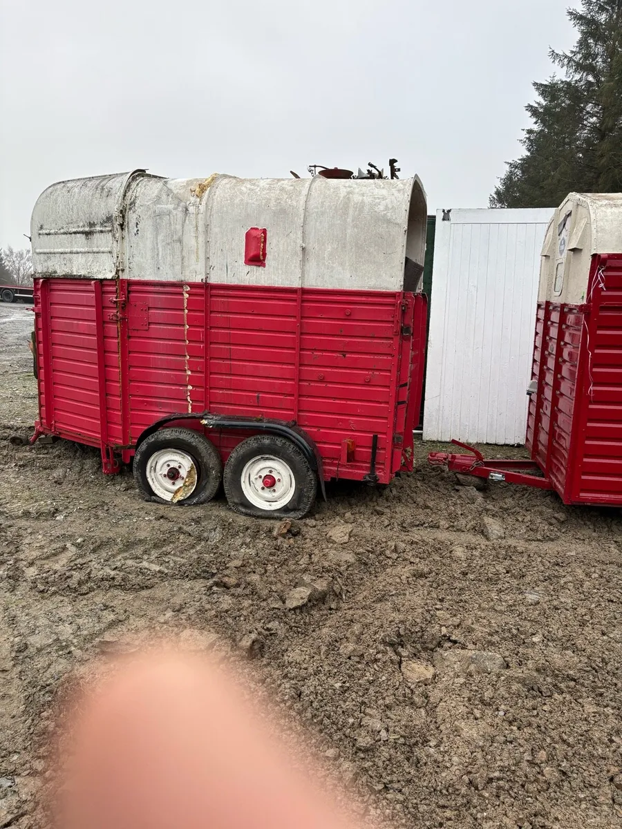 Rice horse-box’s - Image 1