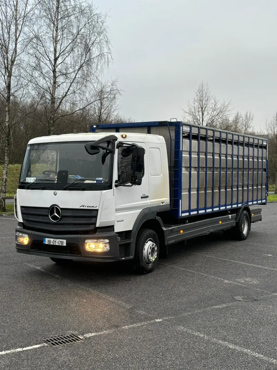 2018 Mercedes Cattle truck for sale - Image 1