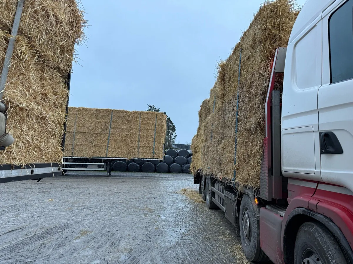 Barley & wheaten straw delivered 8x4x3 - Image 1