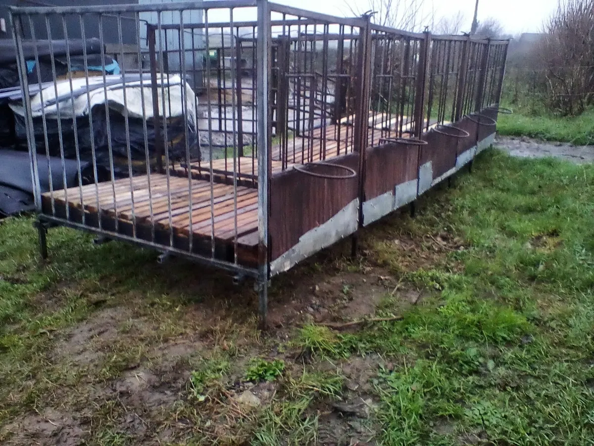 Single calf pens with slats - Image 4
