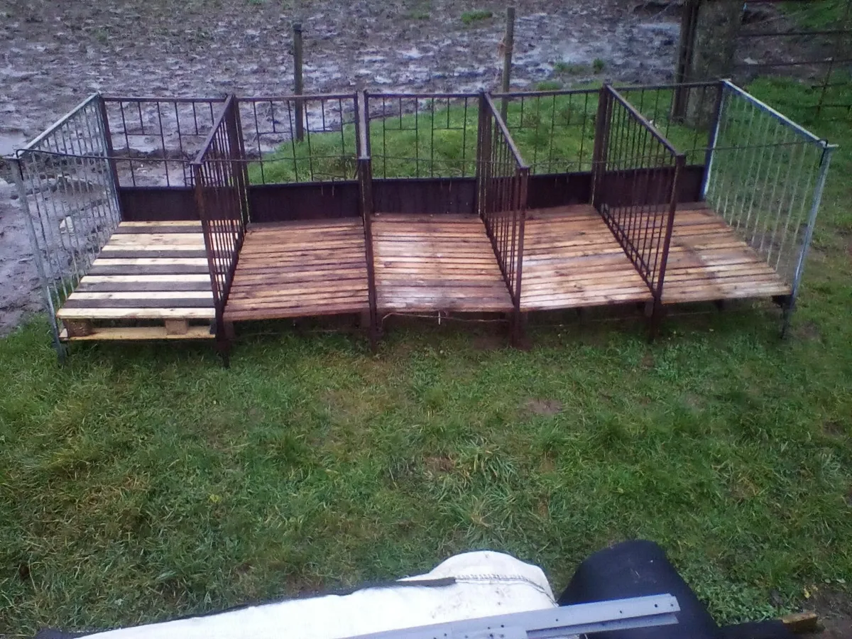 Single calf pens with slats,calf trailer - Image 1