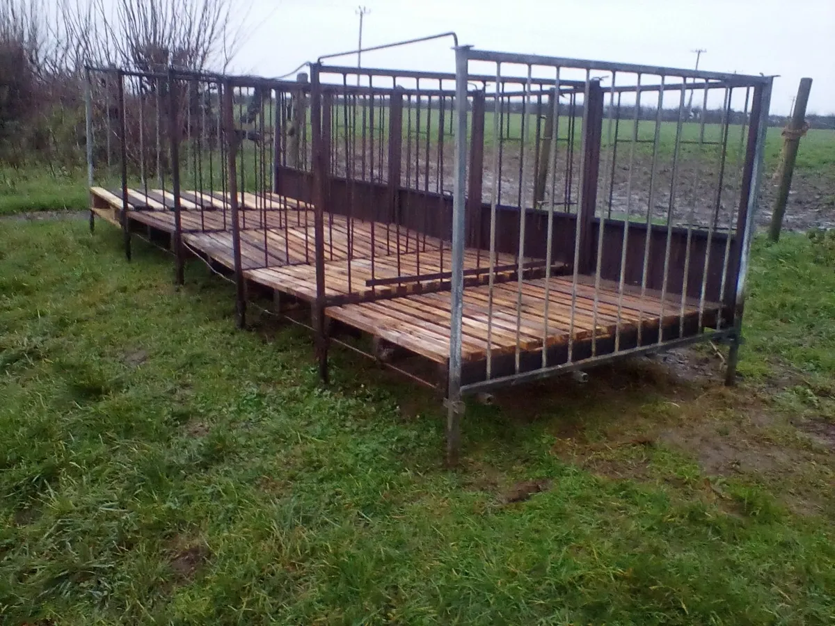 Single calf pens with slats - Image 1
