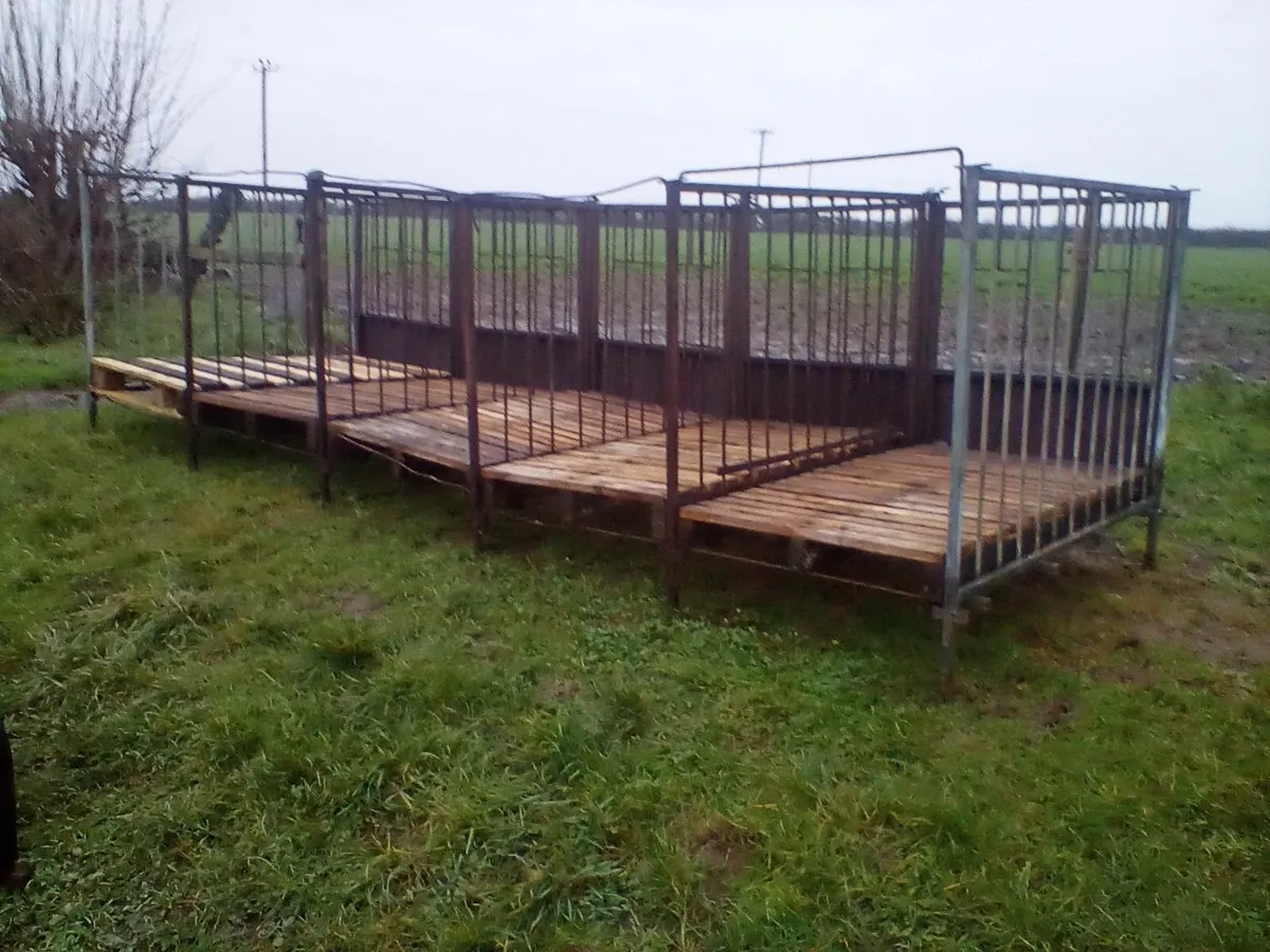 Single calf pens with slats - Image 2