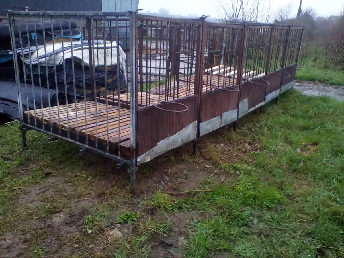Single calf pens with slats - Image 3