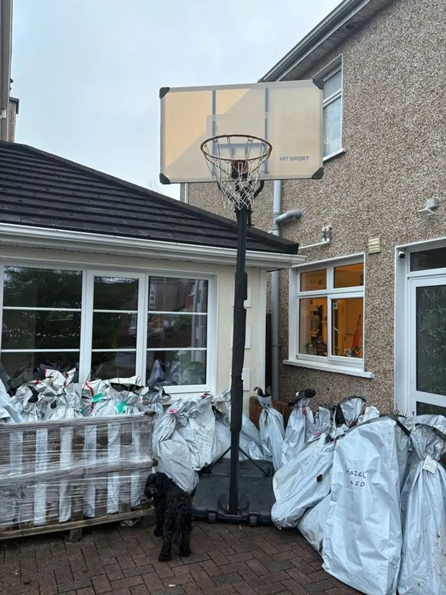 Basketball Hoop - Image 1