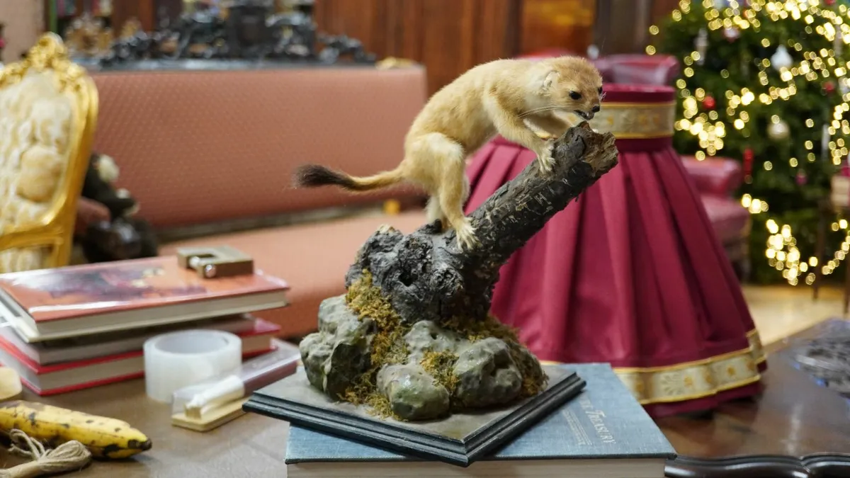Vintage Taxidermy Stoat (Ermine) on Branch Display - Image 1