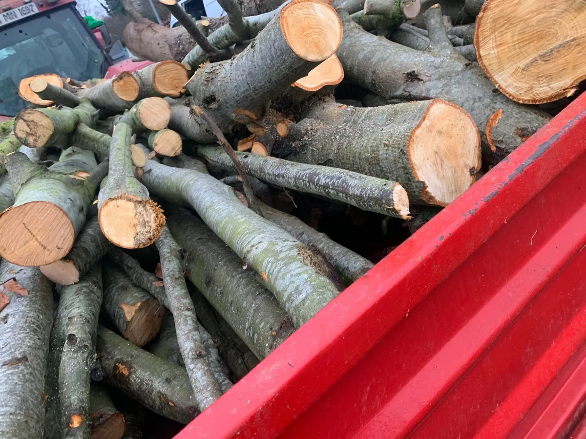 Trailor load of hardwood lengths - Image 2