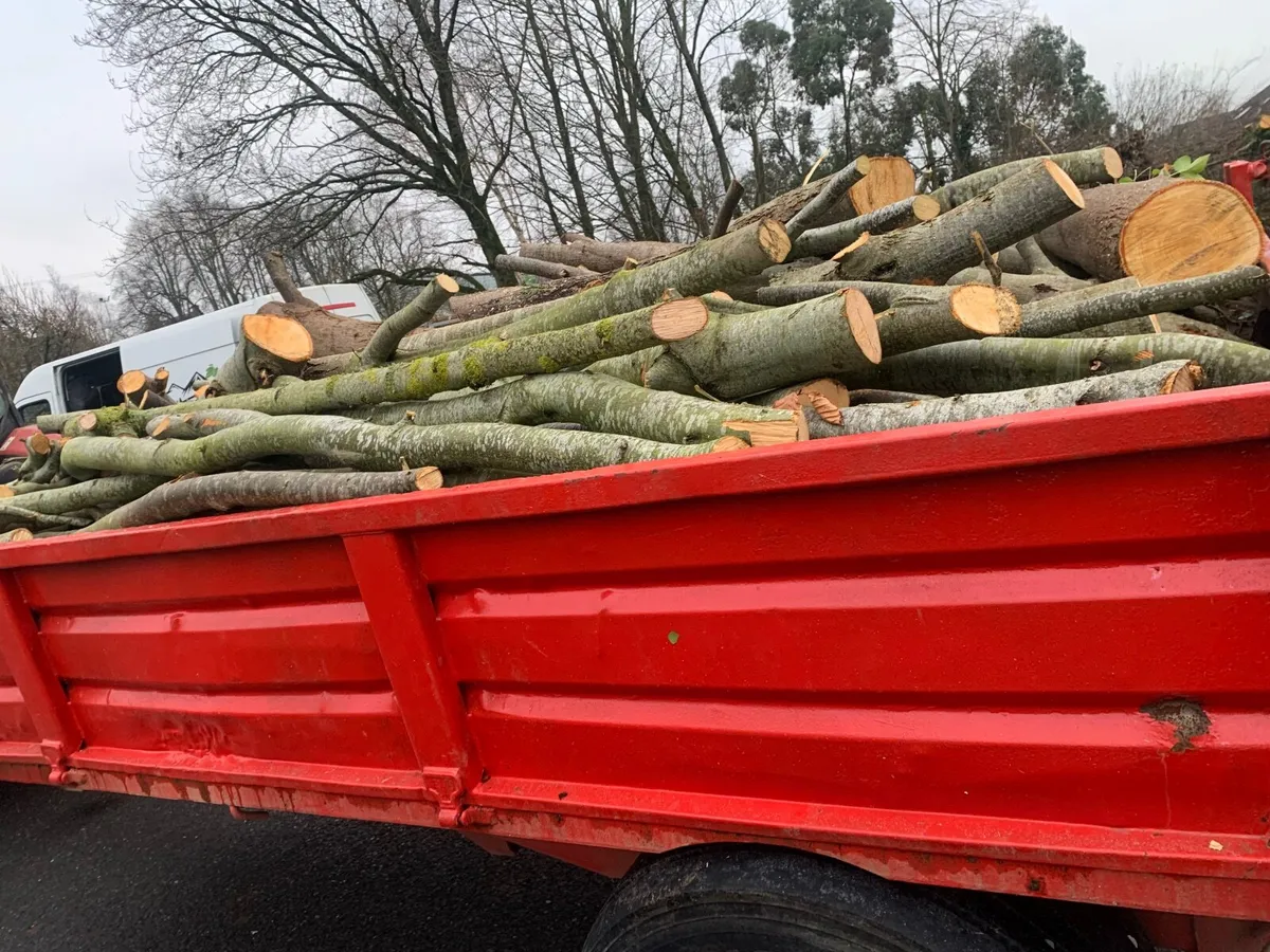 Trailor load of hardwood lengths - Image 3