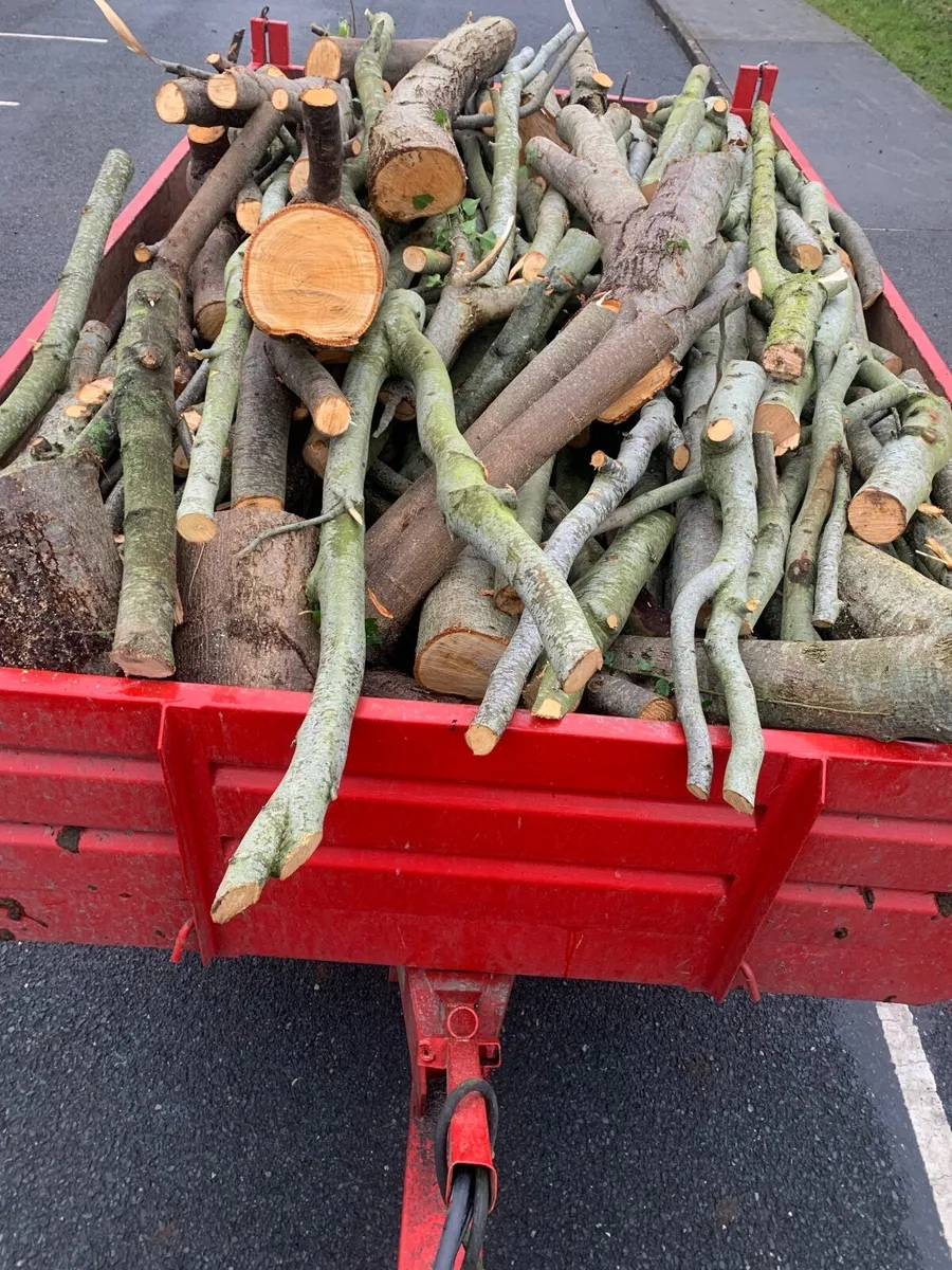 Trailor load of hardwood lengths - Image 1