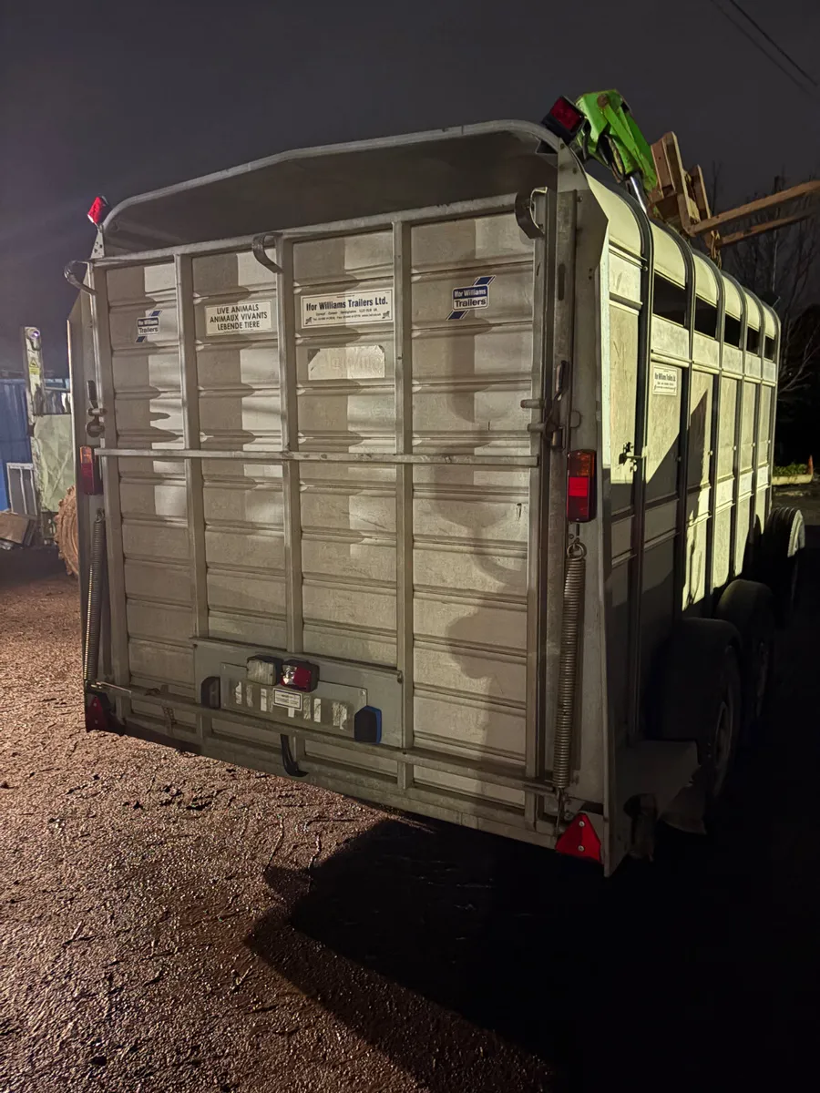 Ifor Williams 12ft cattle trailer - Image 3