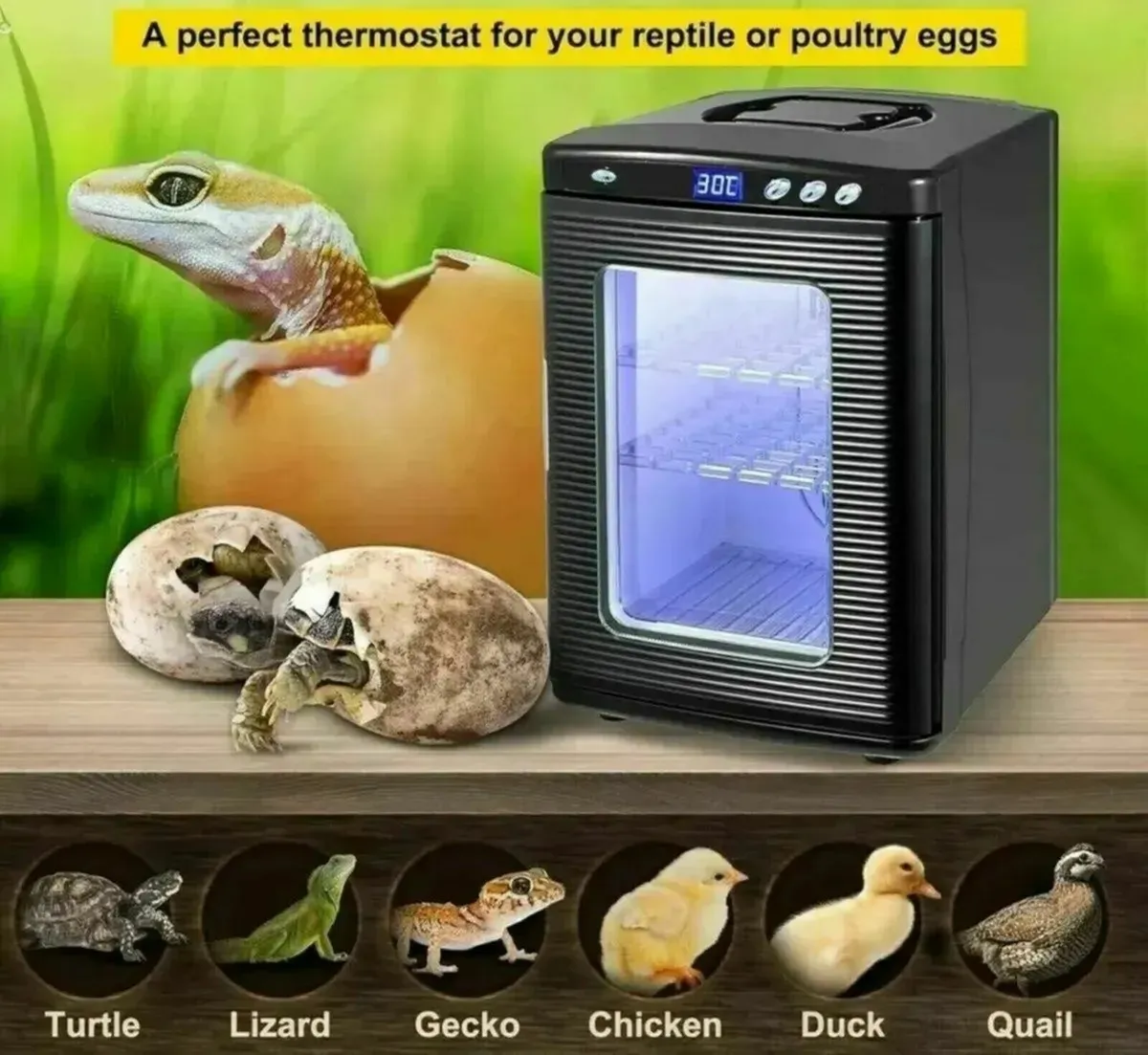 25L Reptile Egg Incubator with Digital Temperature - Image 2