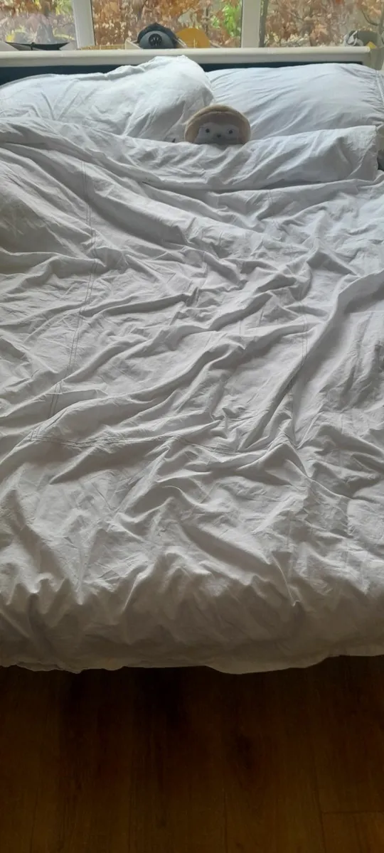 Leather Double Sofa Bed - Image 3