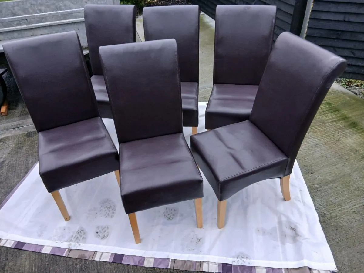 Dinning chairs. - Image 1