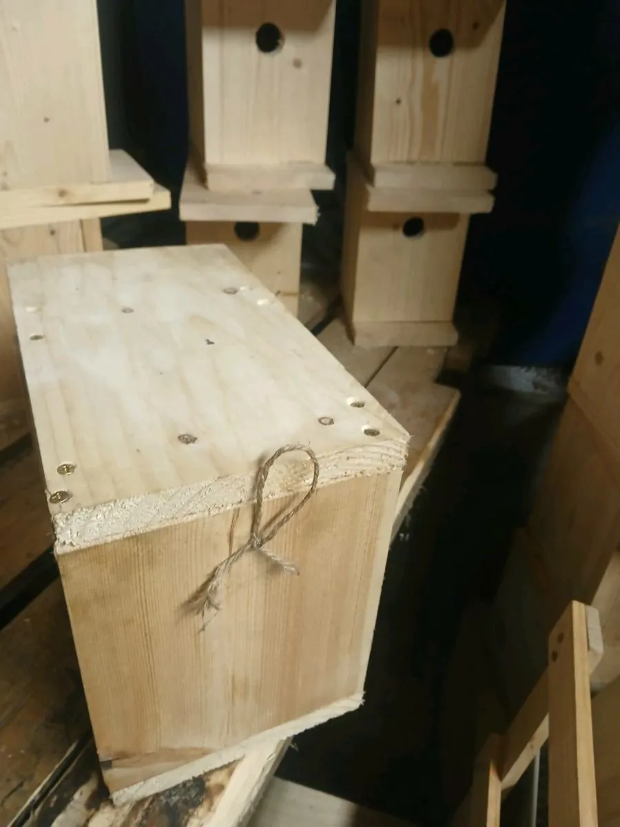 Bird boxes for sale - Image 2
