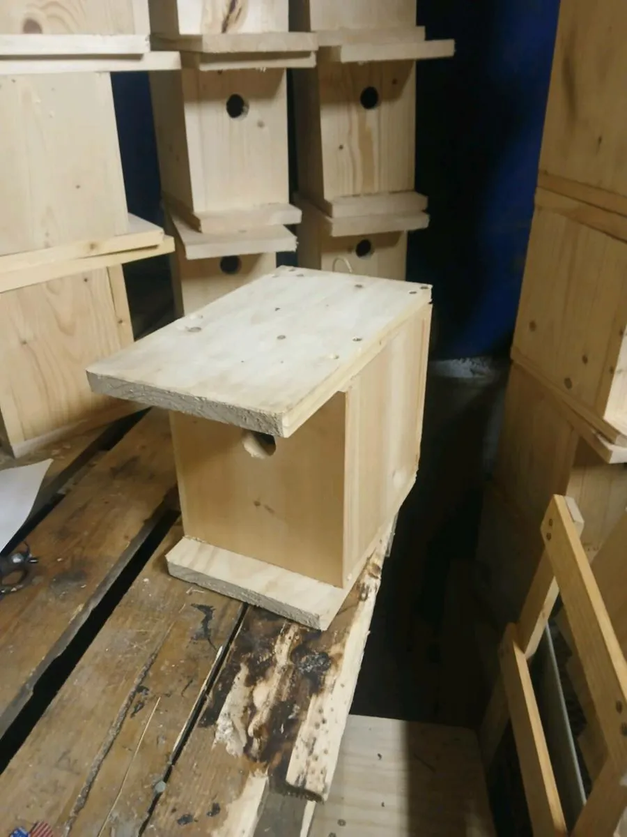 Bird boxes for sale - Image 3