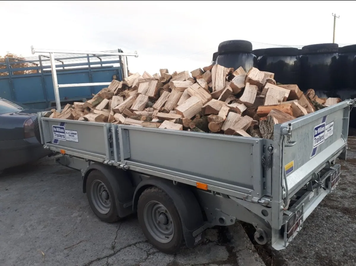 Hardwood firewood - Image 1