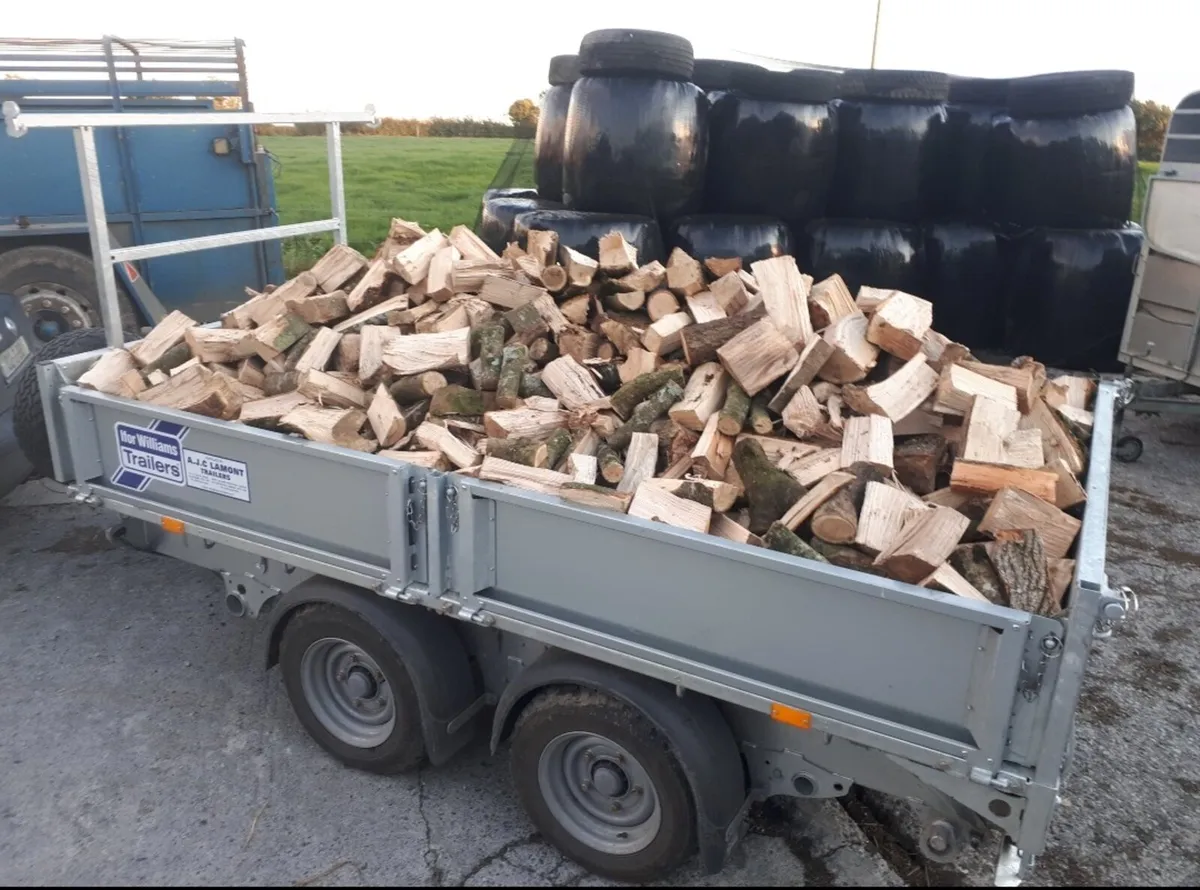 Hardwood firewood - Image 2