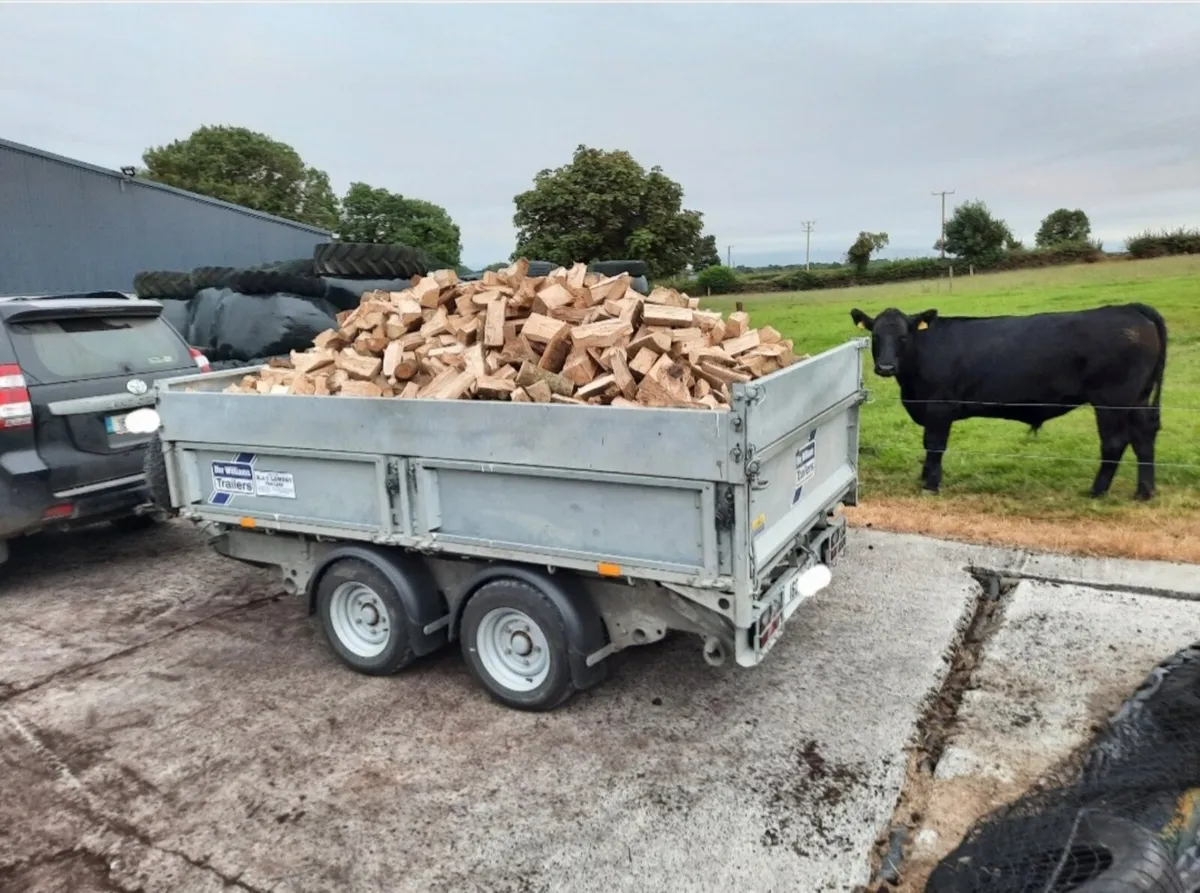Firewood Hardwood Timber - Image 1