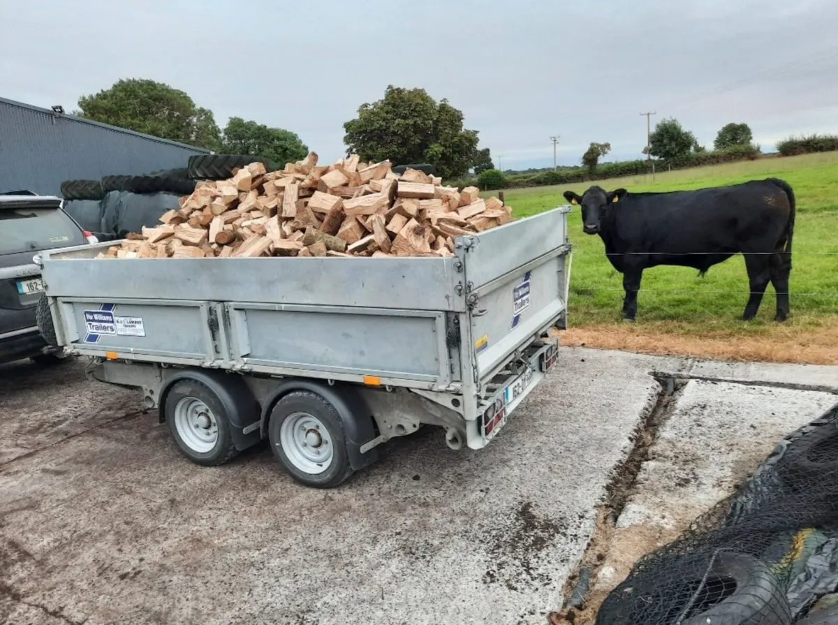 Firewood Hardwood Timber - Image 2