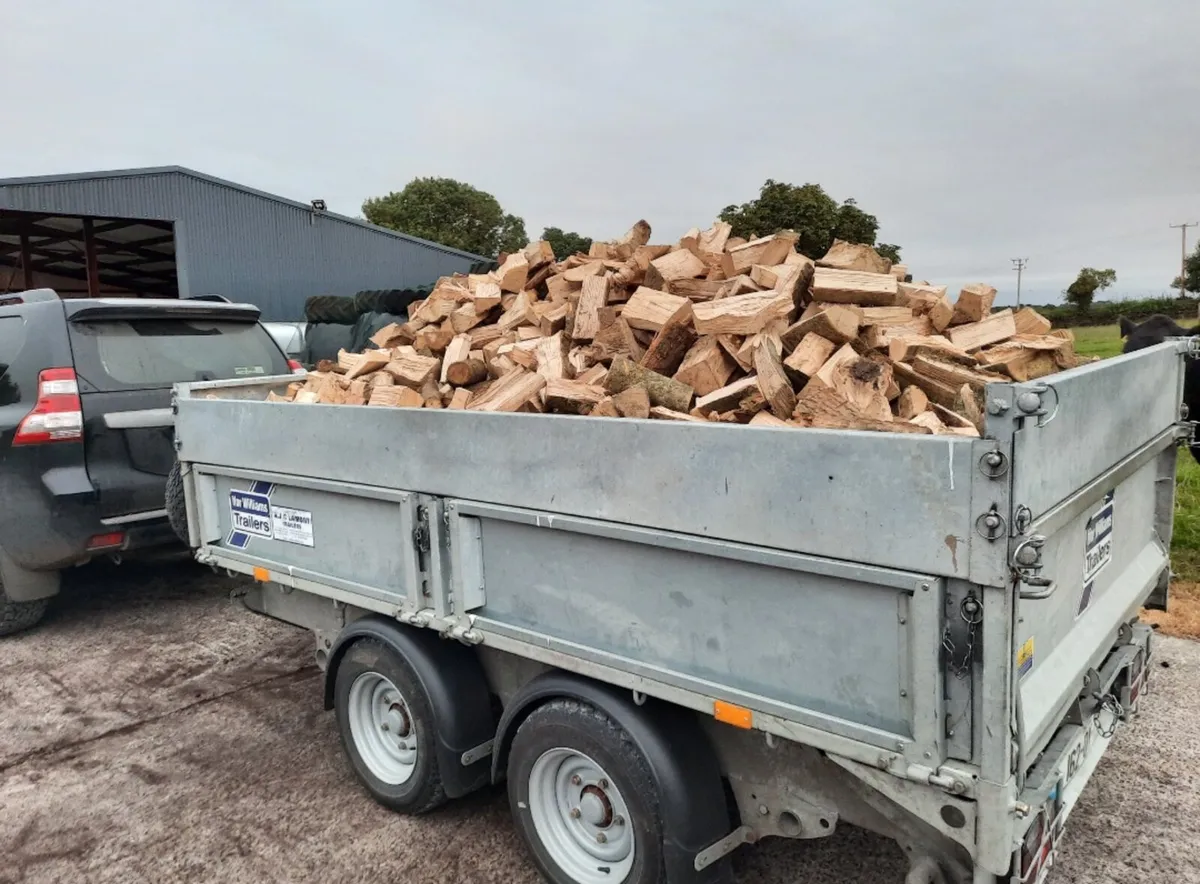 Firewood Hardwood Timber - Image 3
