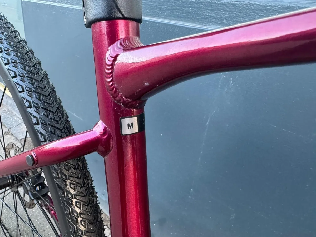 Giant Roam ❗️Open 7 days of the week ❗️ - Image 4