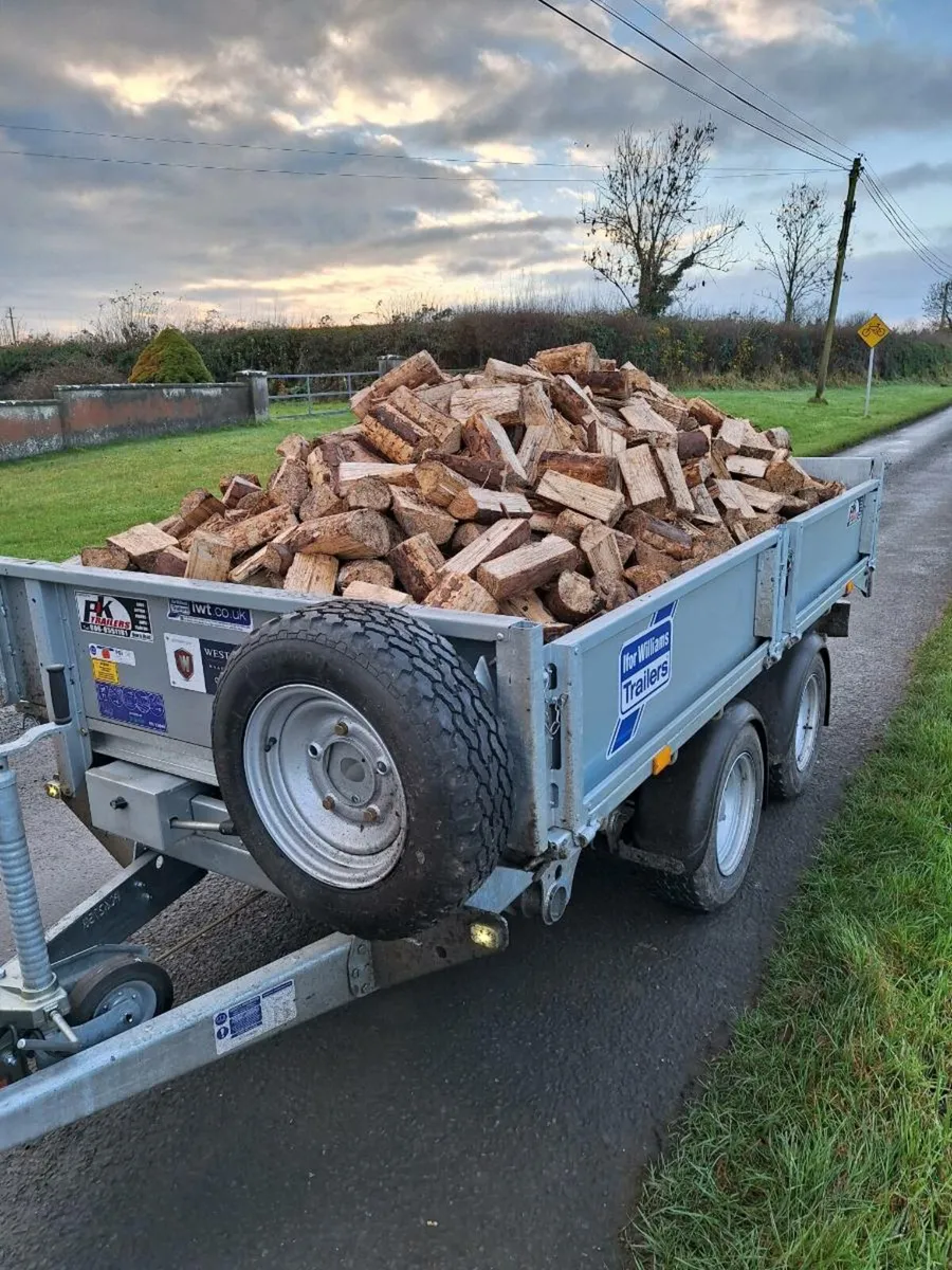Softwood firewood - Image 3