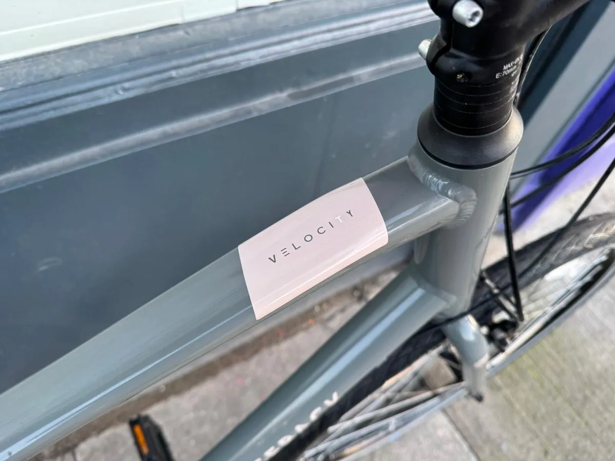 Ridgeback Velocity brand new❗️Open 7 days - Image 3