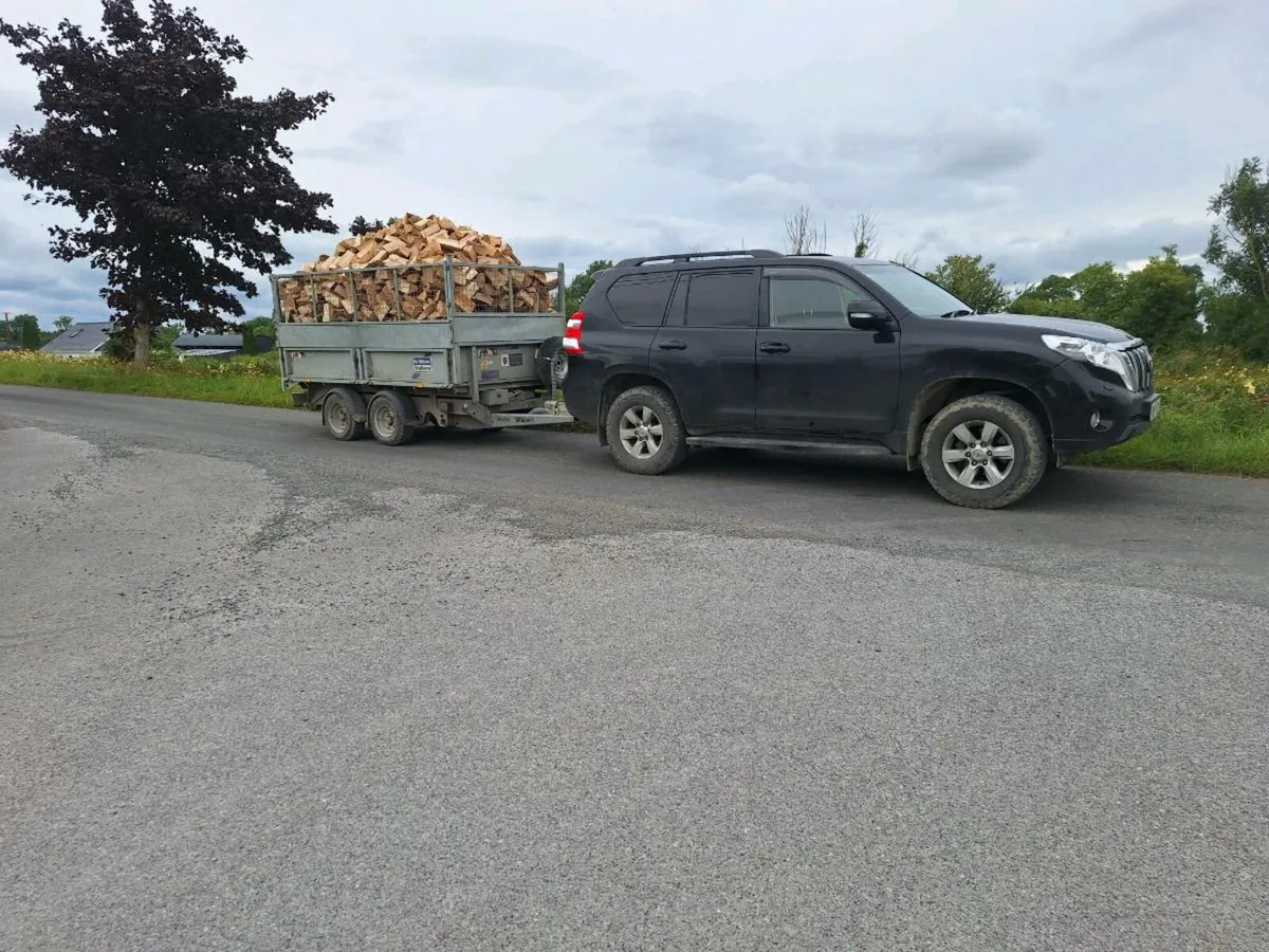 Softwood Firewood - Image 3