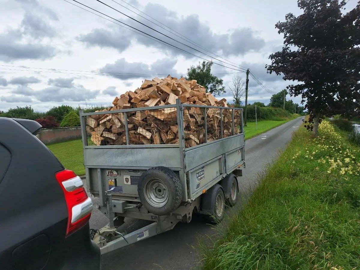 Softwood Firewood - Image 4