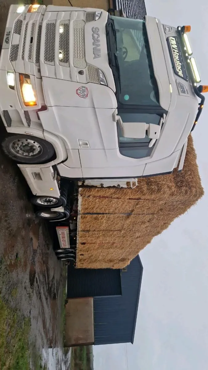 Barley straw for sale ! - Image 1