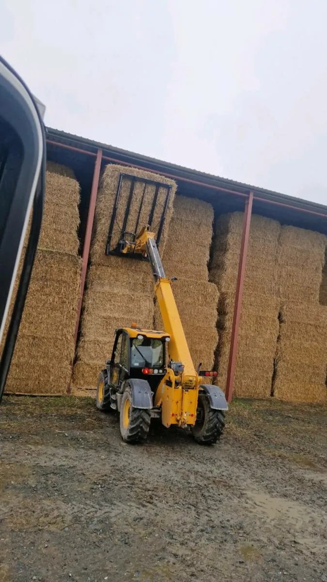 Barley straw for sale ! - Image 2