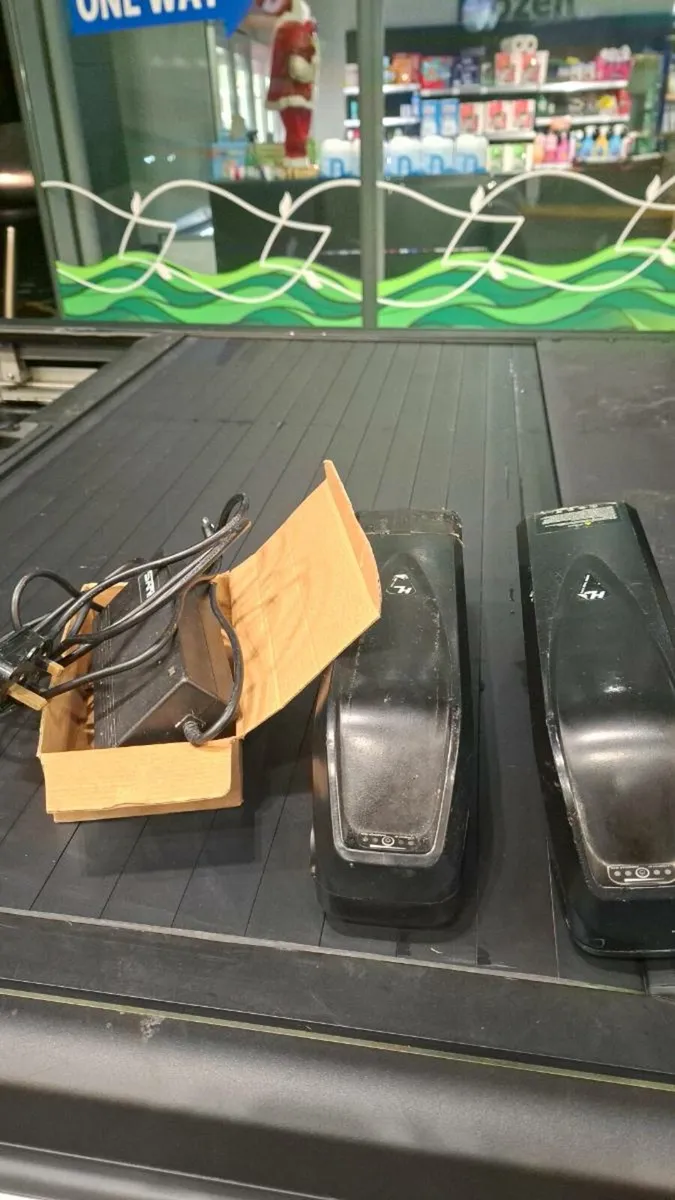 2x 48v 1000w batteries ebike