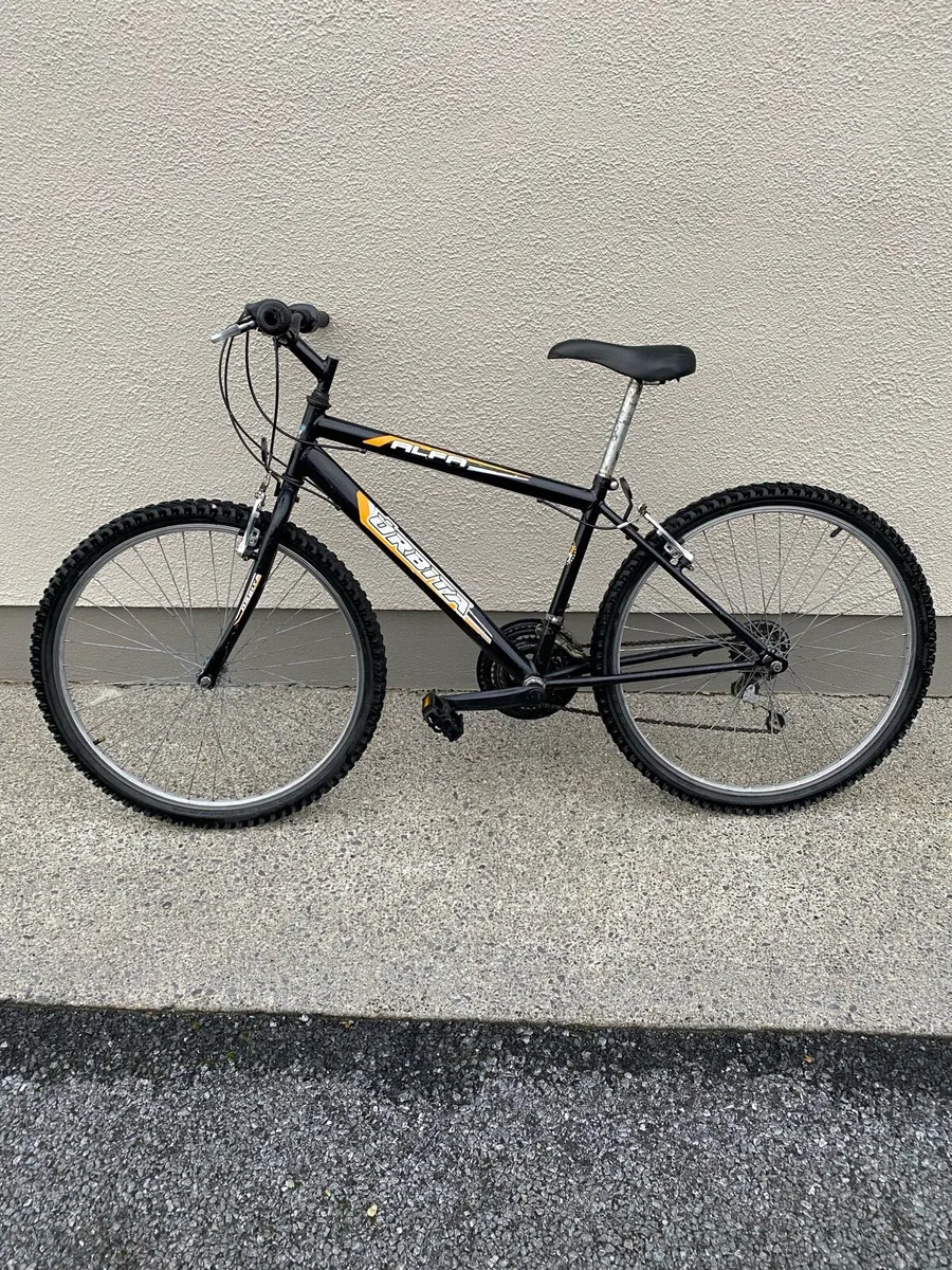 Bicycle - Image 1
