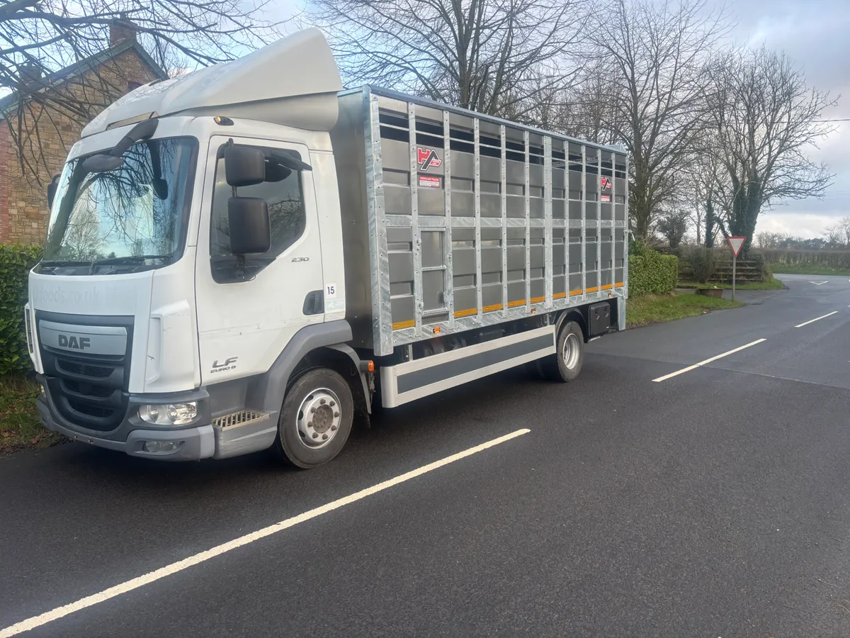 Daf lf cattle lorry - Image 1