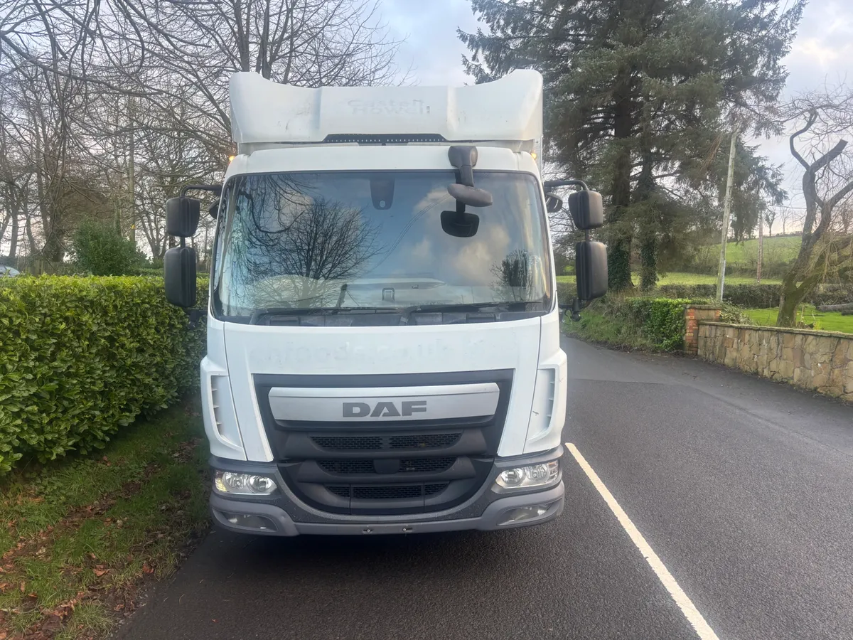 Daf lf cattle lorry - Image 3