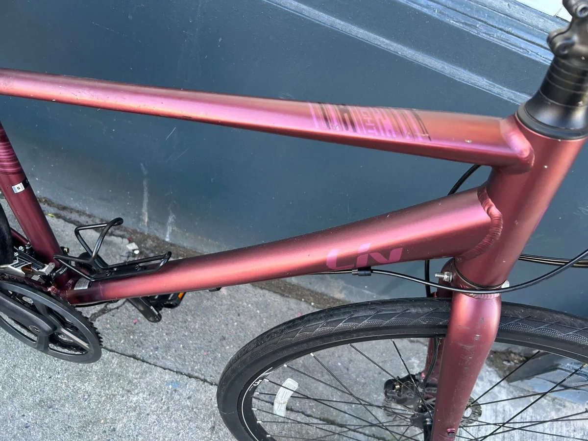 Giant Liv ❗️Open  7 days of the week ❗️ - Image 2