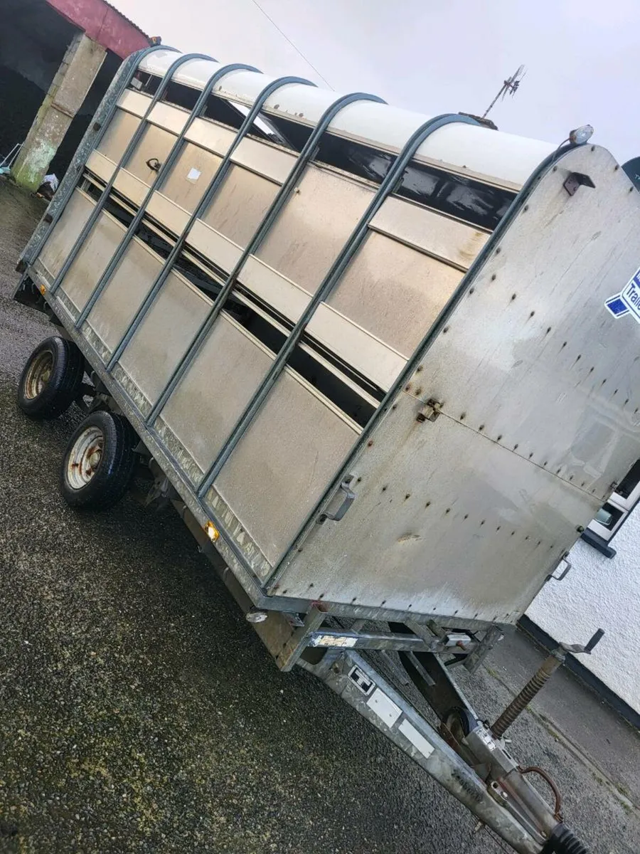 Ifor williams 12x6'6'' - Image 1