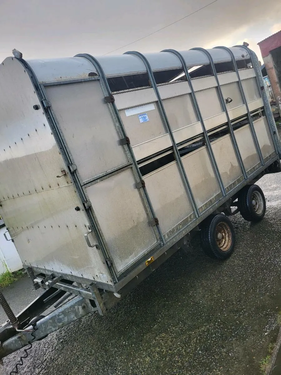 Ifor williams 12x6'6'' - Image 2