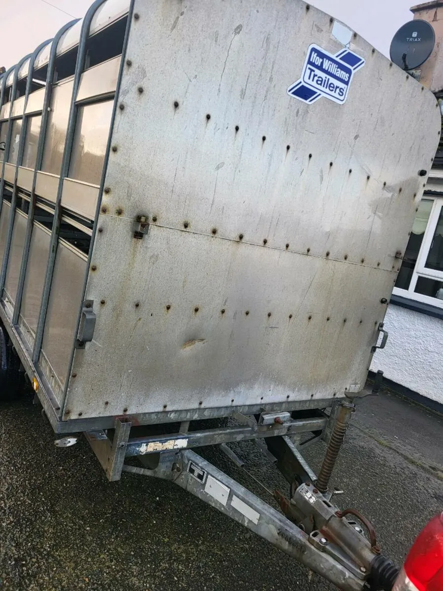 Ifor williams 12x6'6'' - Image 3