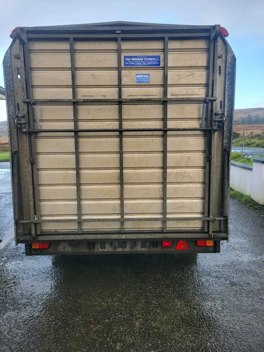 Ifor williams 12x6'6'' - Image 4