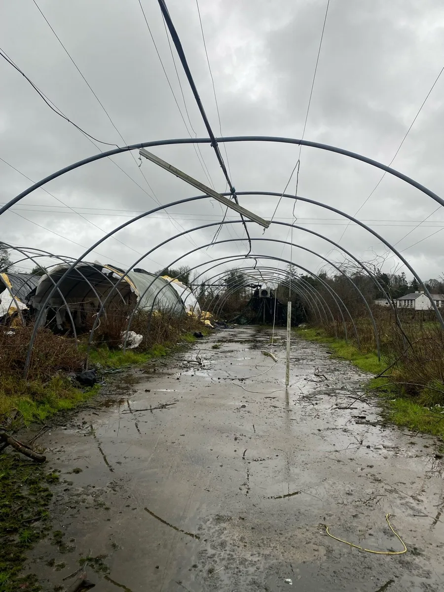 Mushroom houses - Image 3