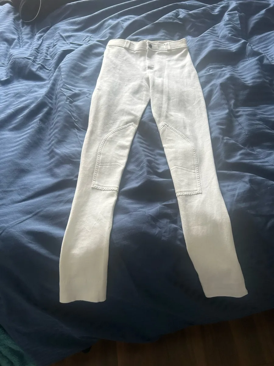 White jodhpurs - Image 1