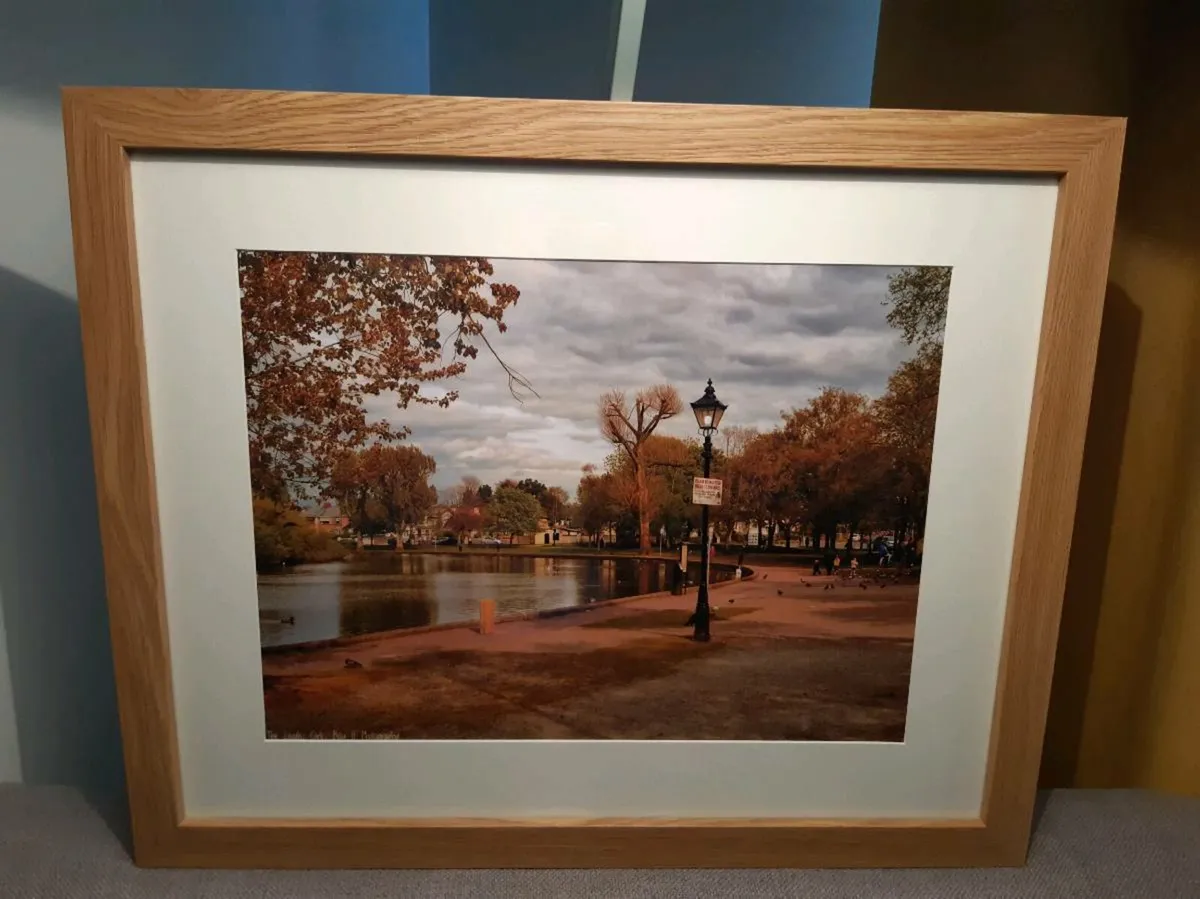 The Lough, Cork - Image 1