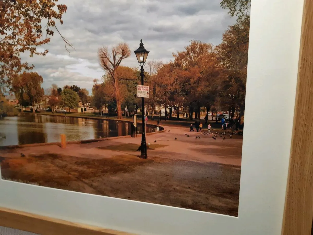 The Lough, Cork - Image 3